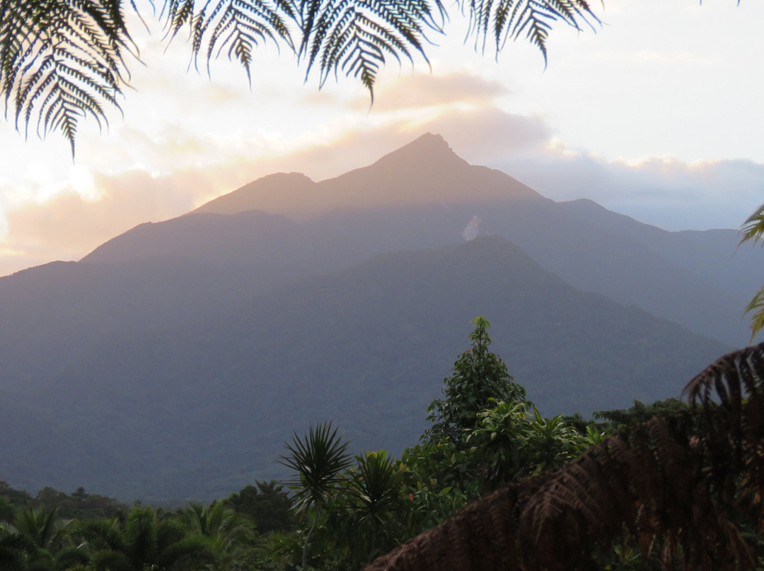 The Epiphyte Bed and Breakfast主图