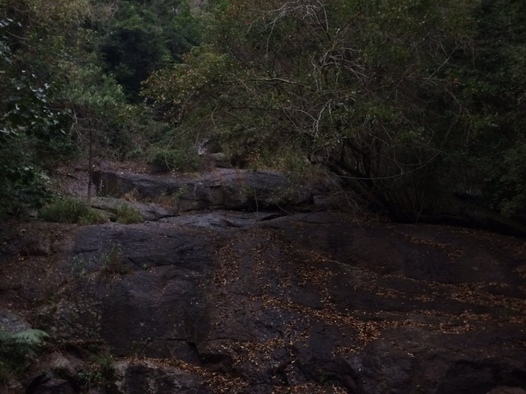 Oribi Gorge Nature Reserve景点图片