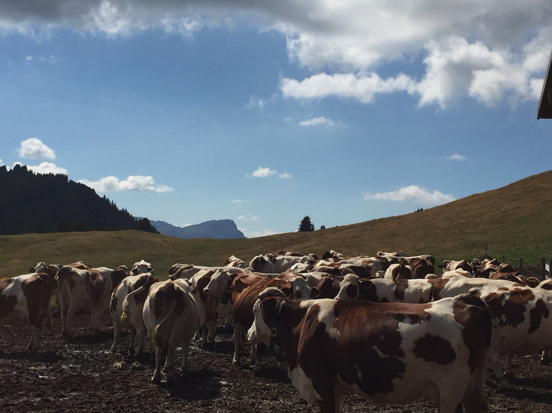 Ferme de Lorette景点图片