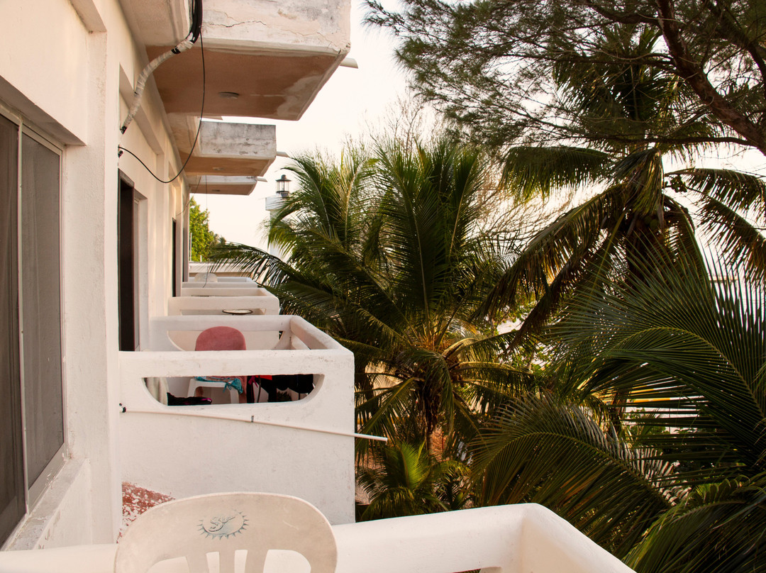 Hotel Maria del Carmen Celestun主图