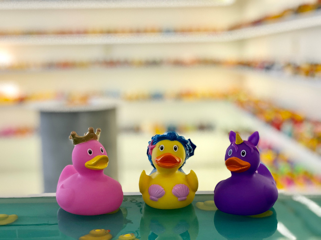 Limassol Duck Store-利马索尔必去景点