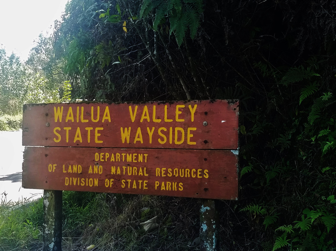 Wailua Valley State Wayside Park-库拉必去景点
