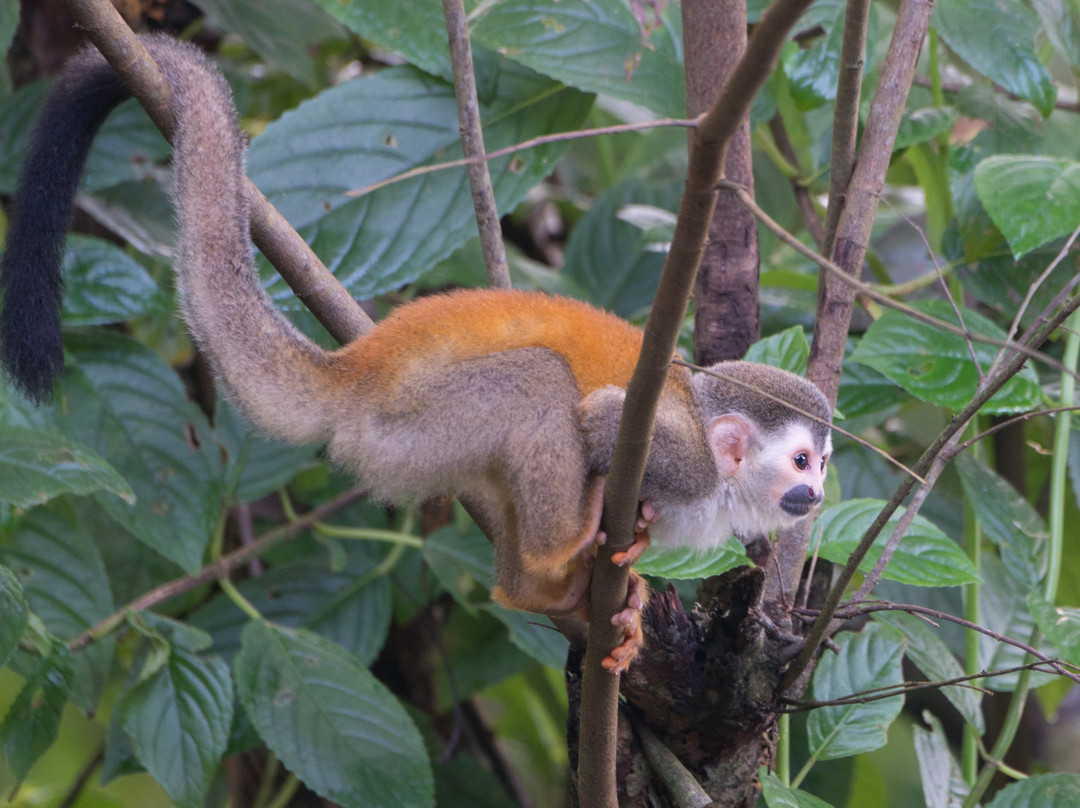 Hotel Plaza Yara主图