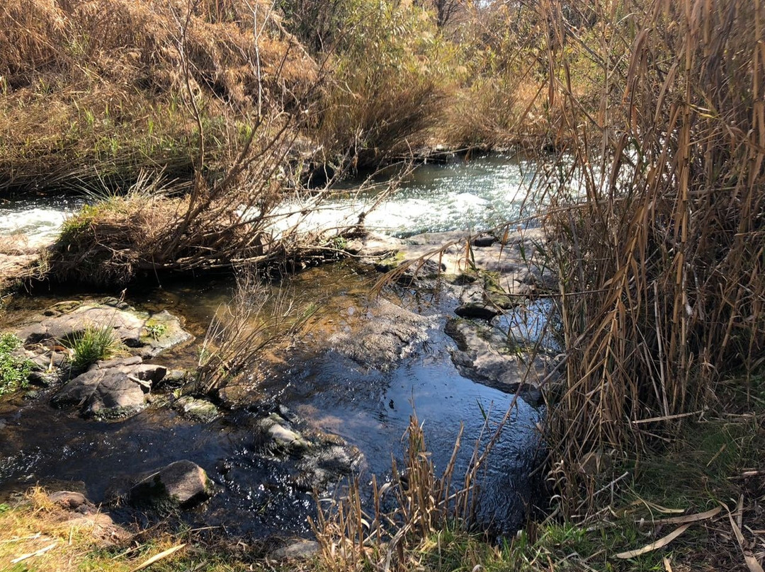 Lethabo Estate主图