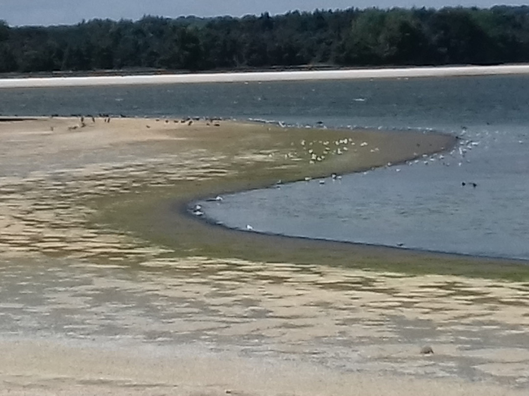 Hanningfield Nature Discovery Centre景点图片