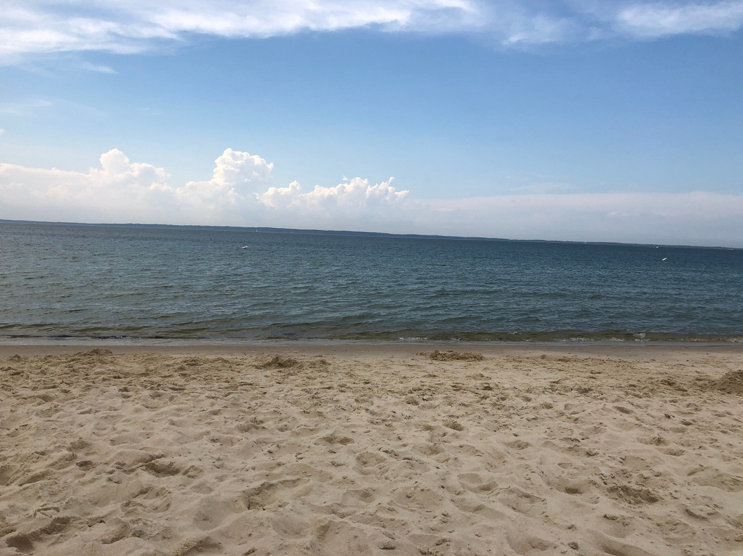 Lambert's Cove Beach景点图片