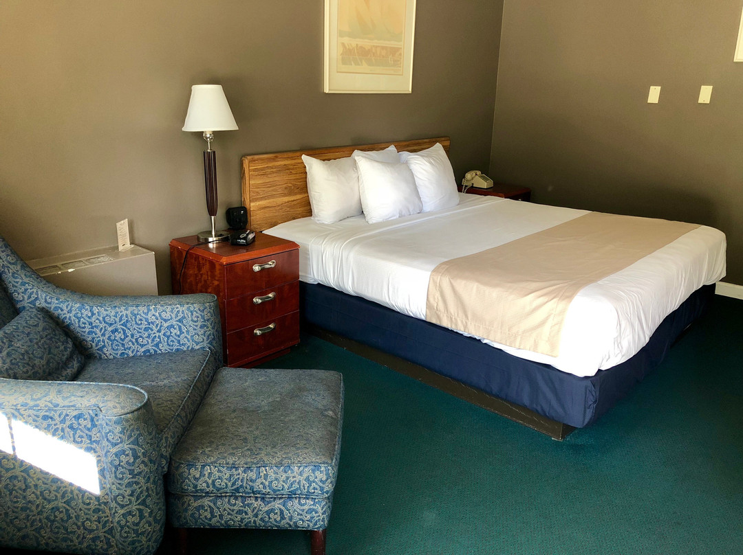 Quality Inn & Suites主图