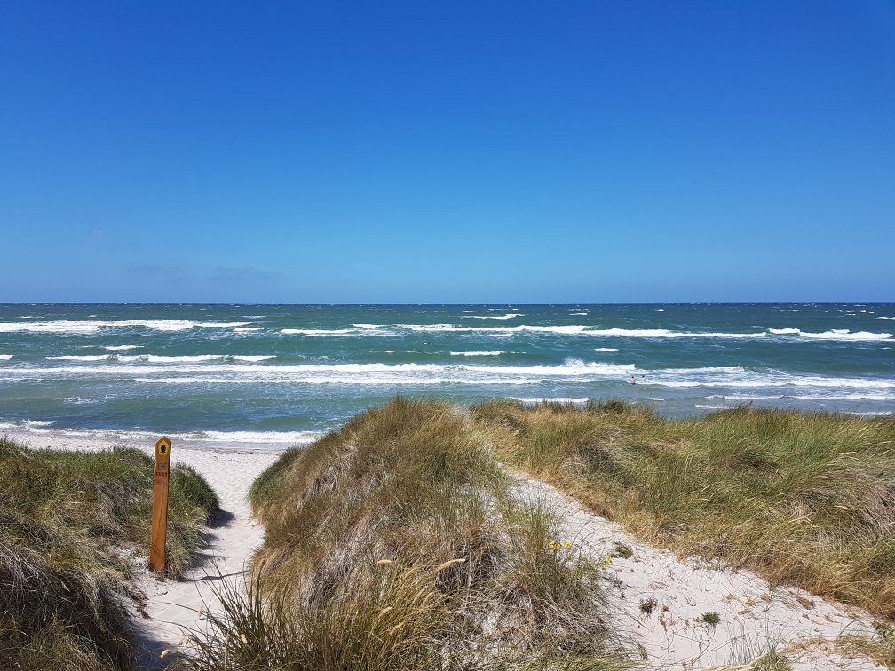 Western Pomerania Lagoon Area National Park景点图片