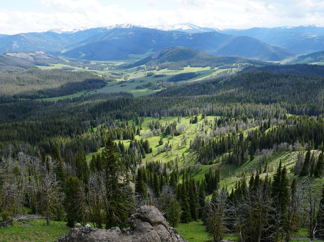 Daly Creek Trail-西黄石镇必去景点