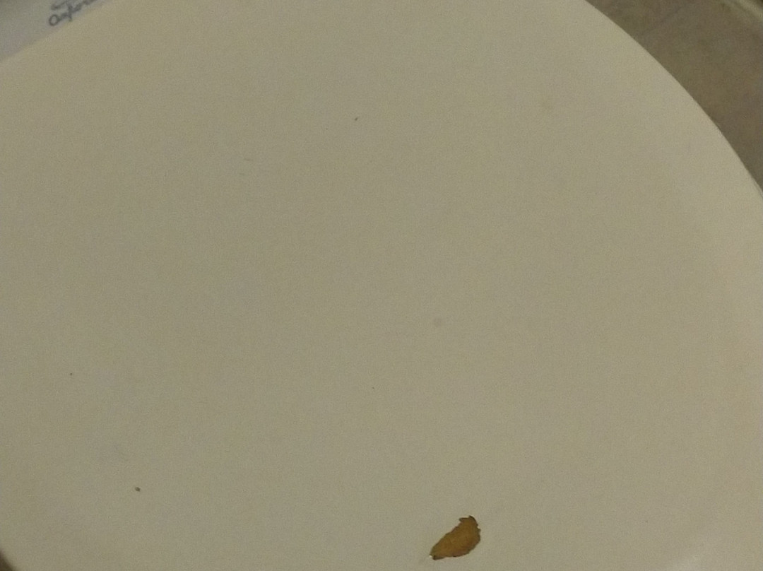 Travelodge by Wyndham Evanston主图