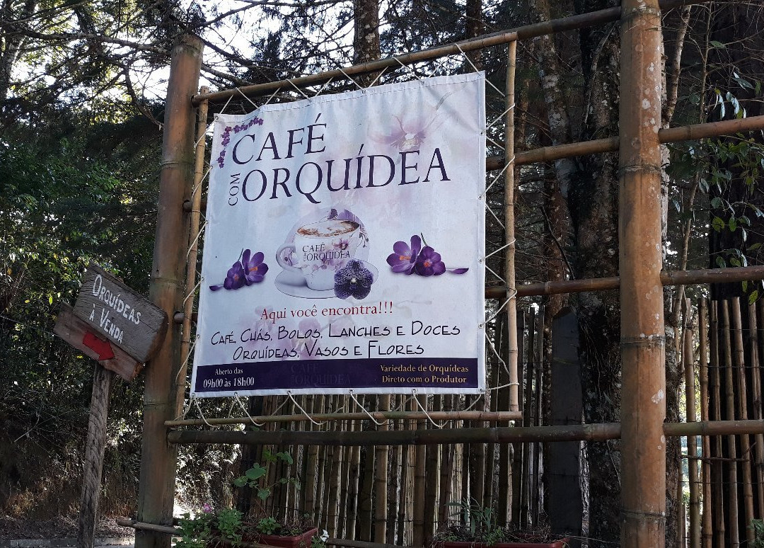 Cafe Com Orquidea