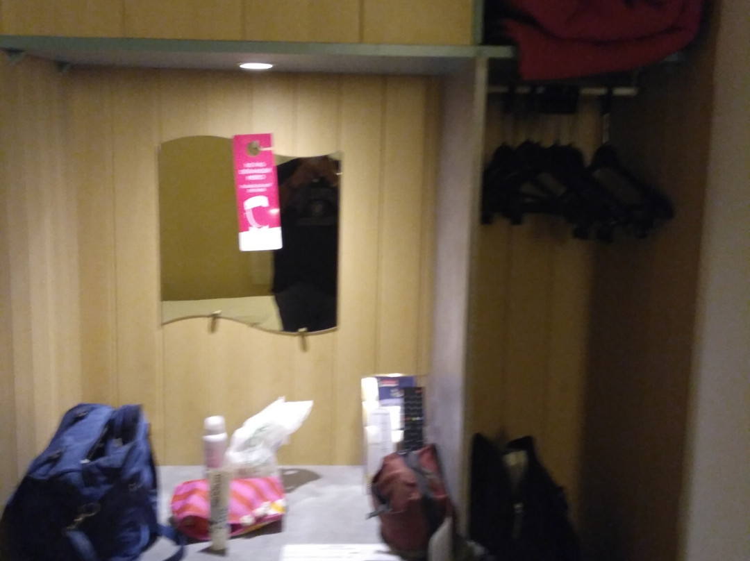 卡尔卡松法斯特酒店主图