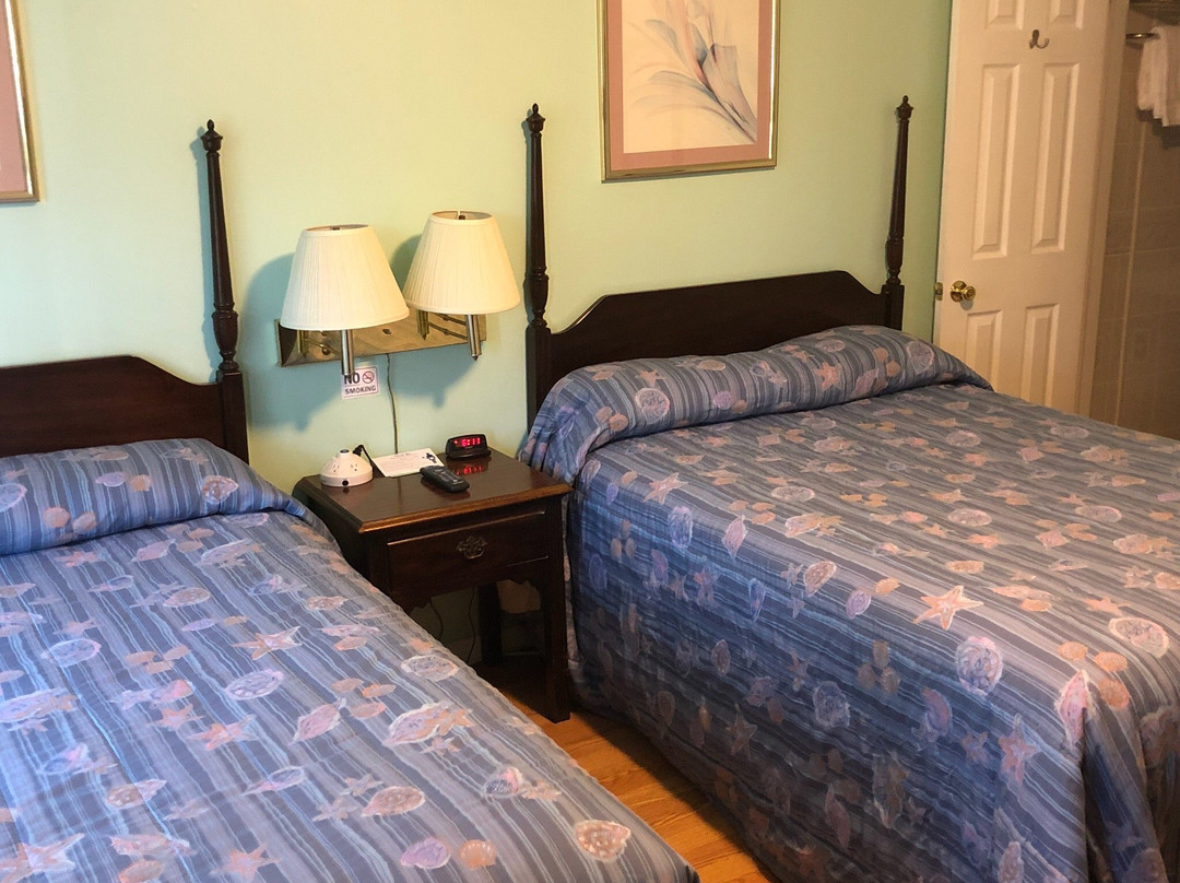 Robin Hood Motel主图