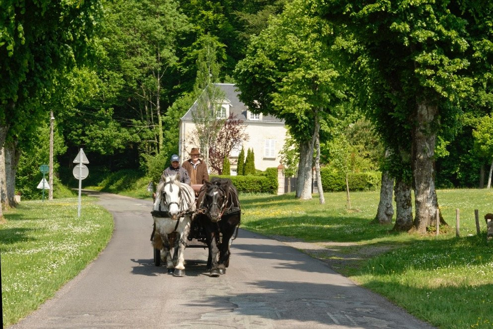 Association Bellême Attelages-Saint-Martin-du-Vieux-Belleme必去景点