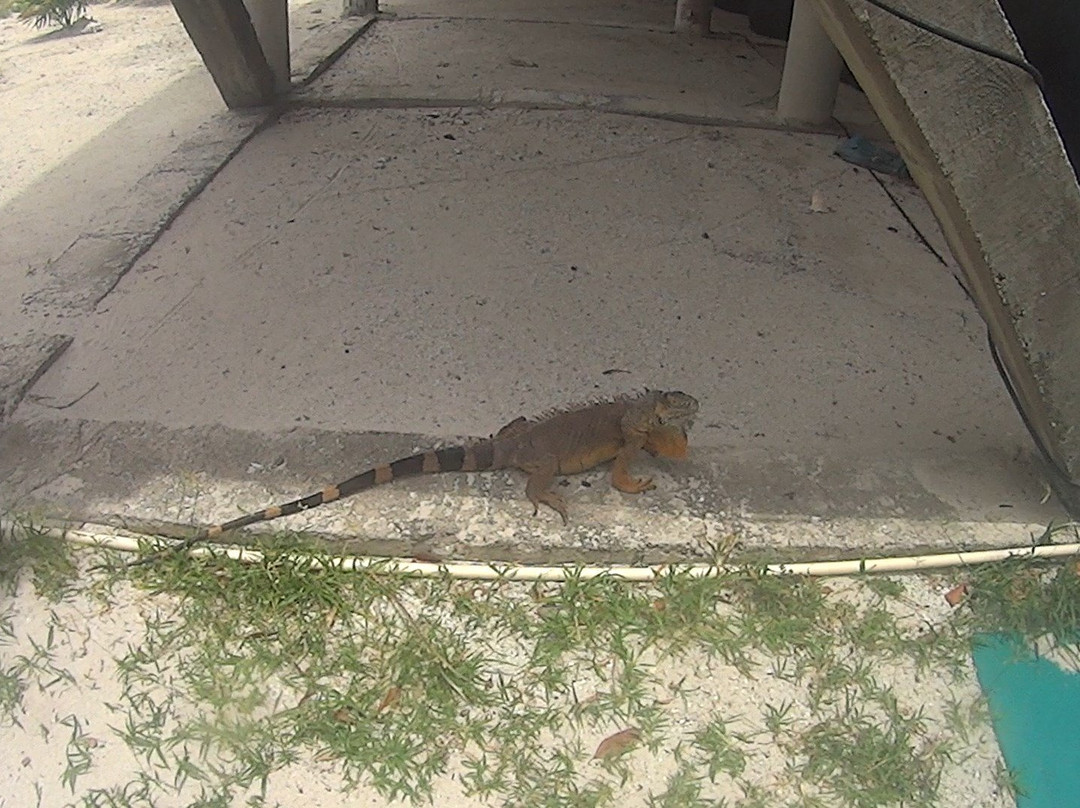 Parque Nacional de Arrecifes-Xcalak必去景点