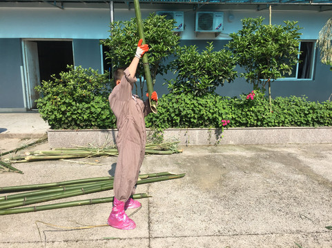 Panda China Go-成都必去景点