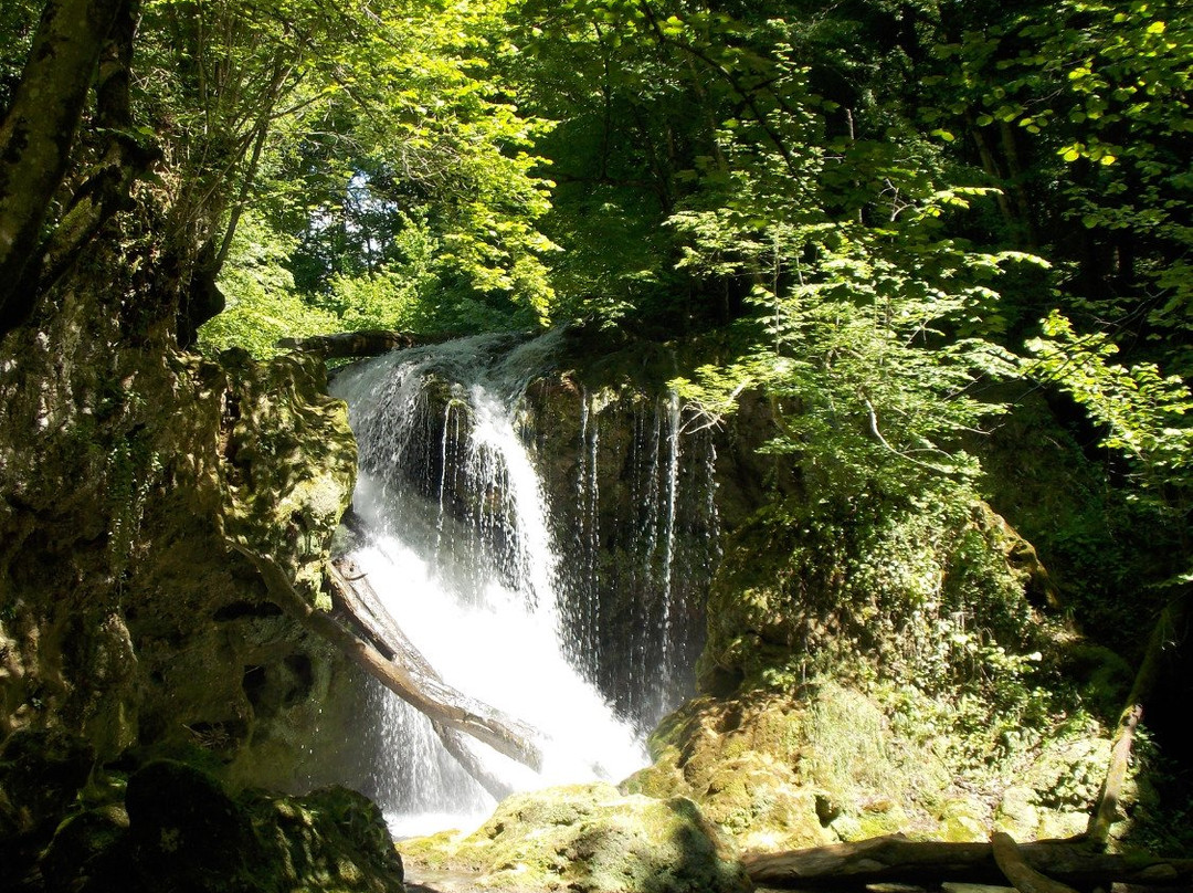 La Vaioaga Waterfall景点图片