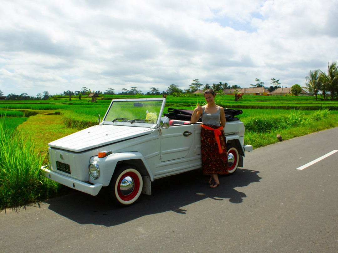 Bali Exclusive Experience景点图片