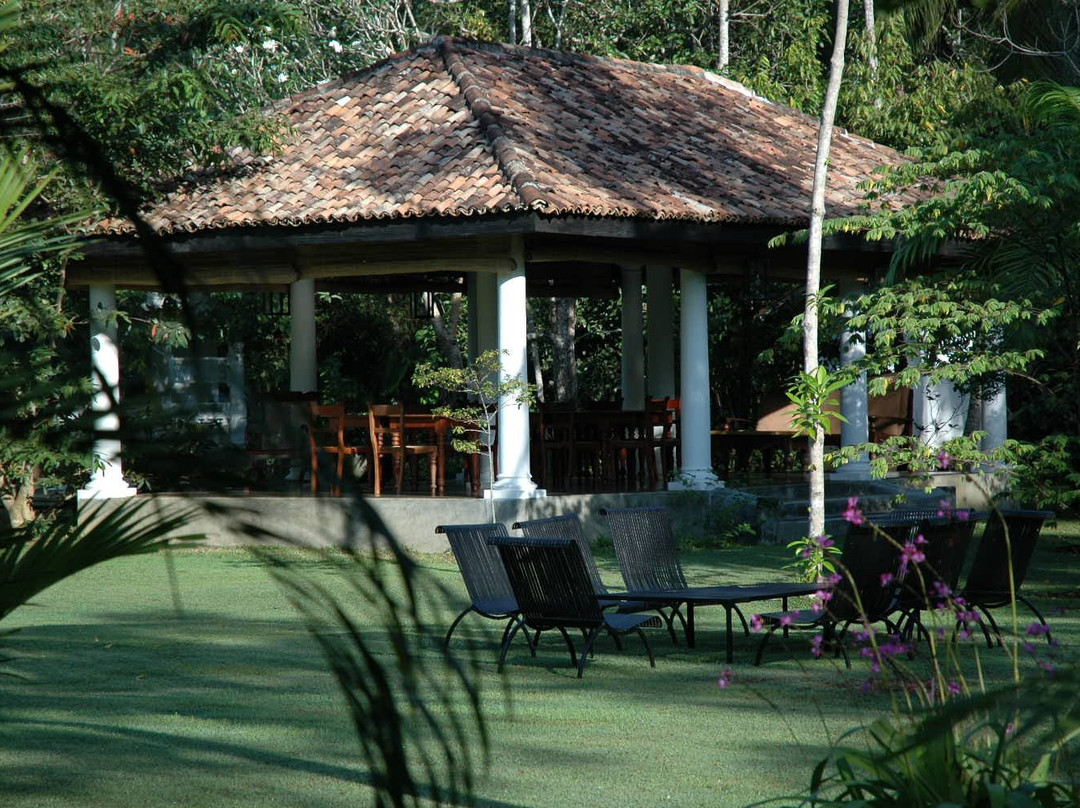 Nisala Arana Boutique Hotel主图