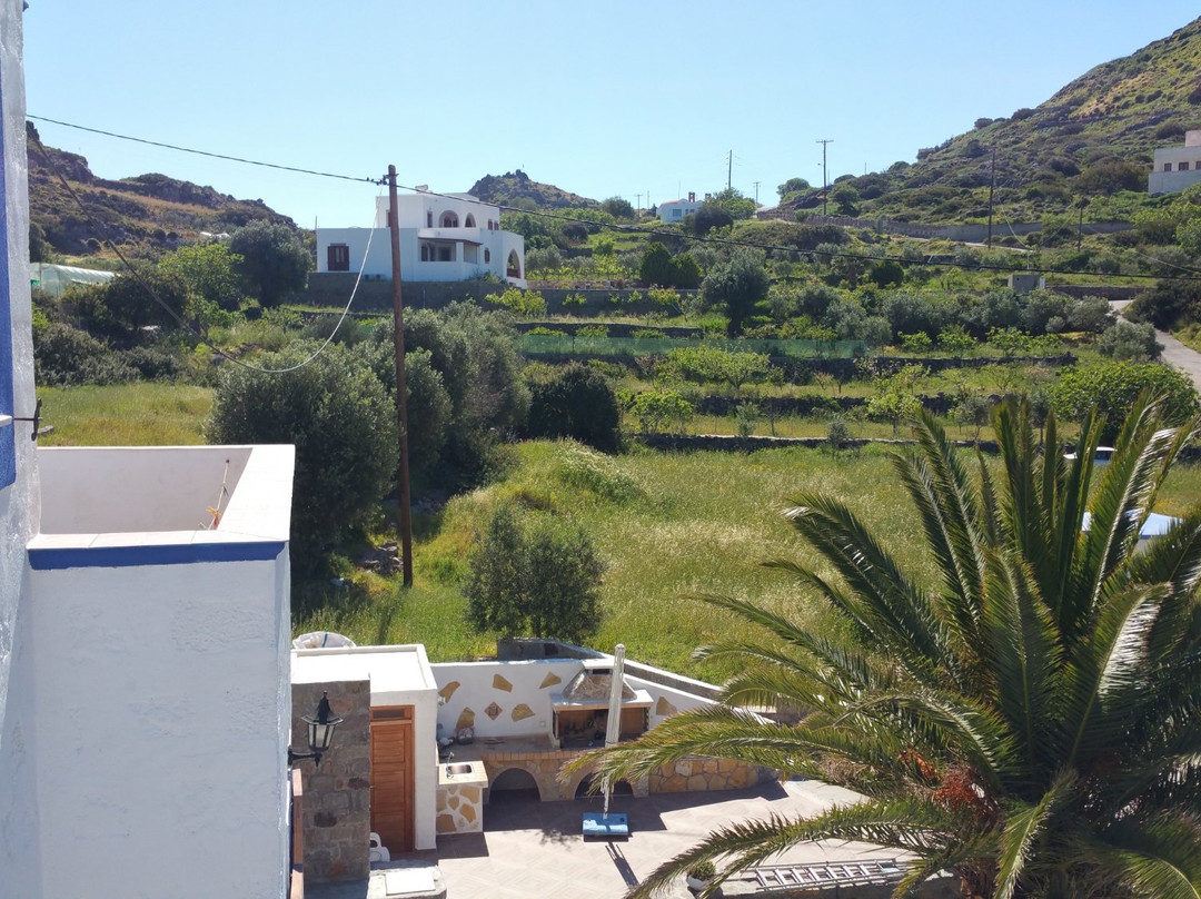 Nicolas Studios主图