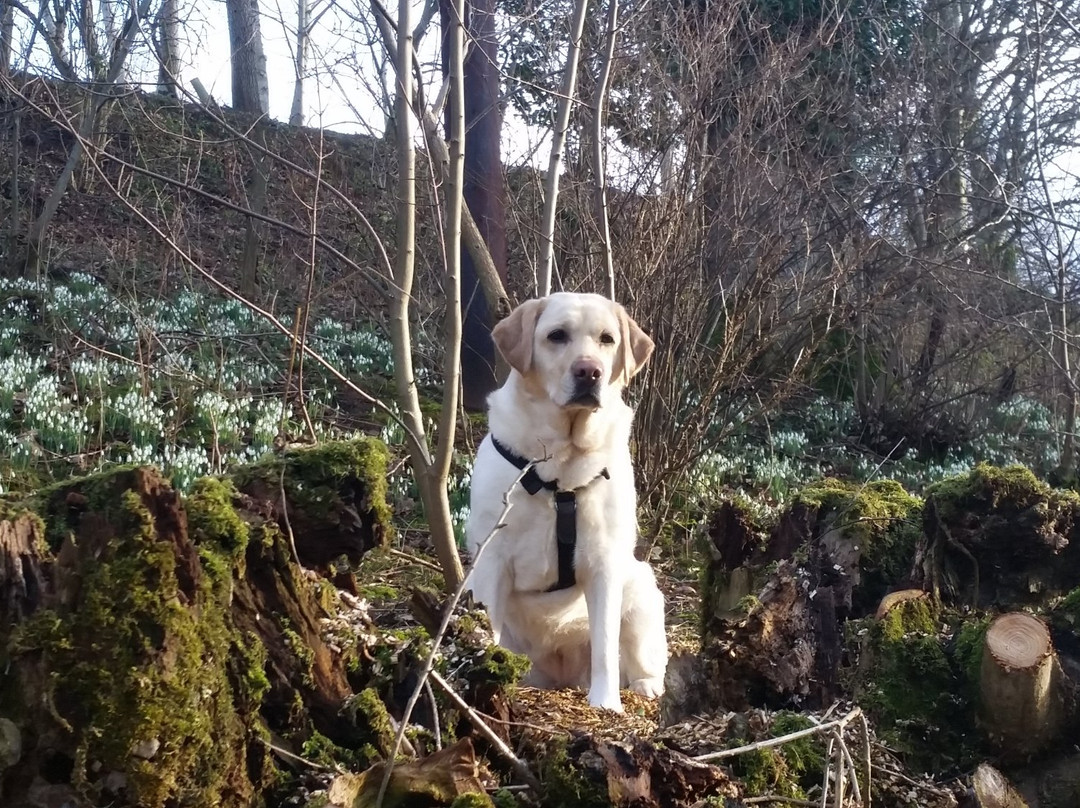 Broomfield House Bed & Breakfast主图