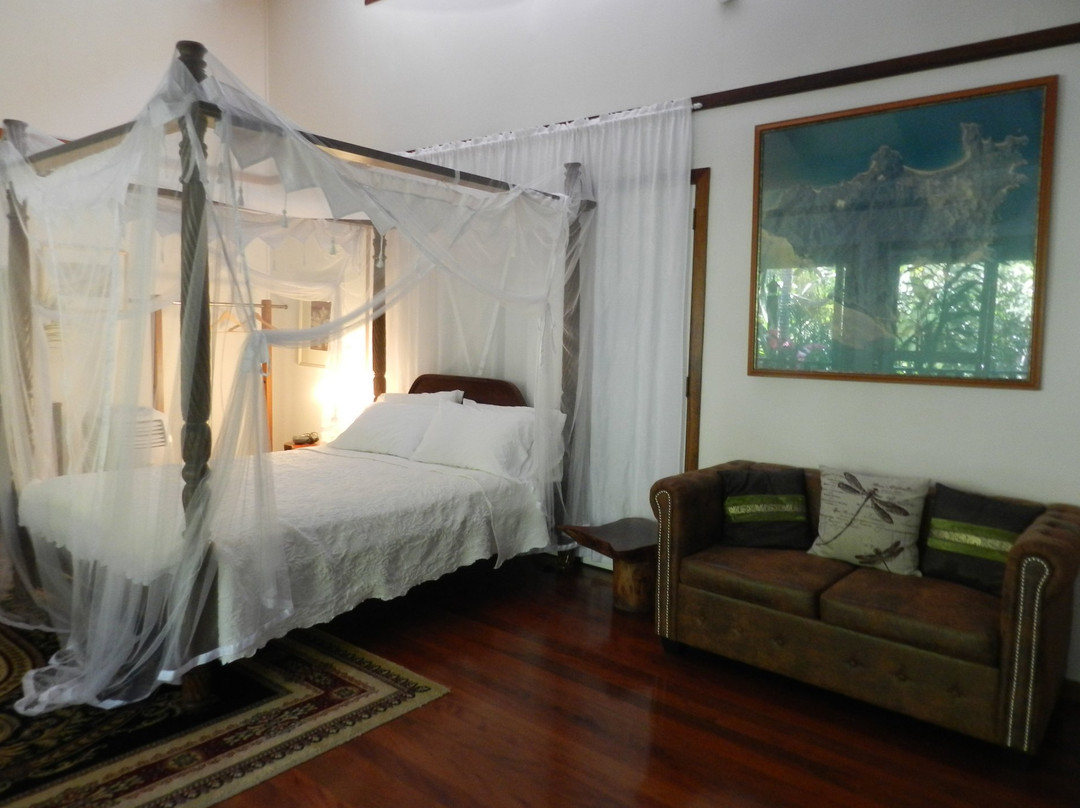 Horseshoe Bay酒店住宿-Oskar's Rainforest Retreat Bed and Breakfast