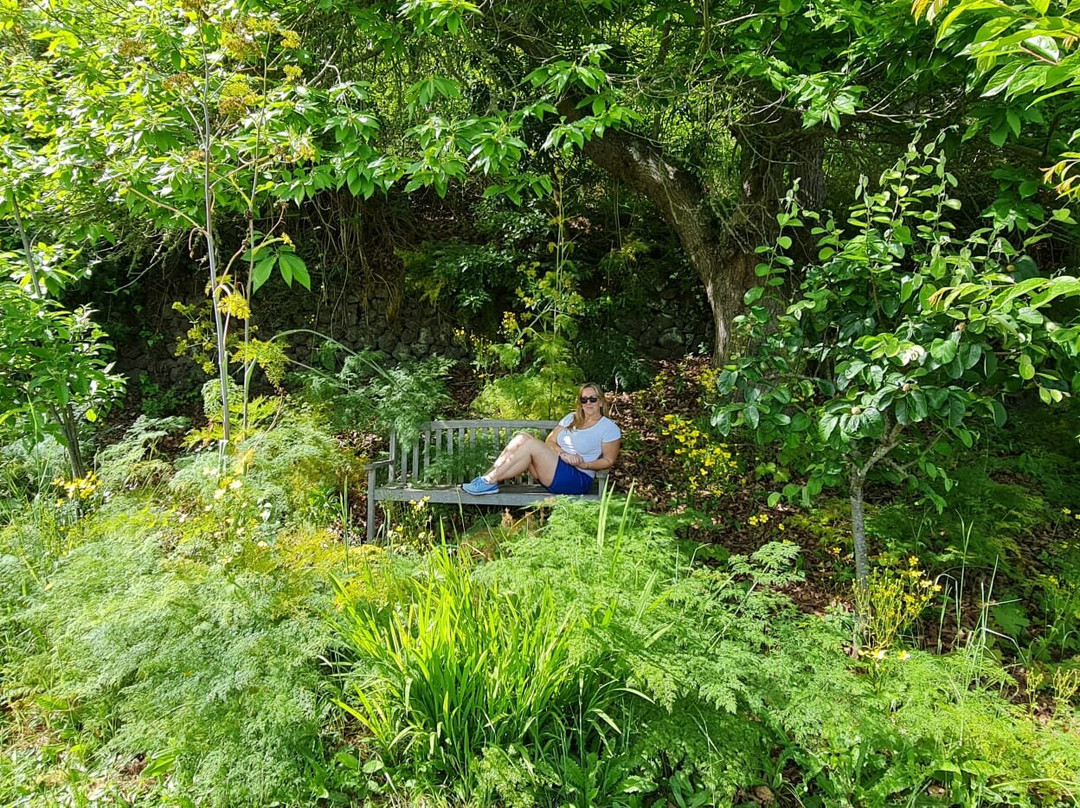 Finca La Golosa