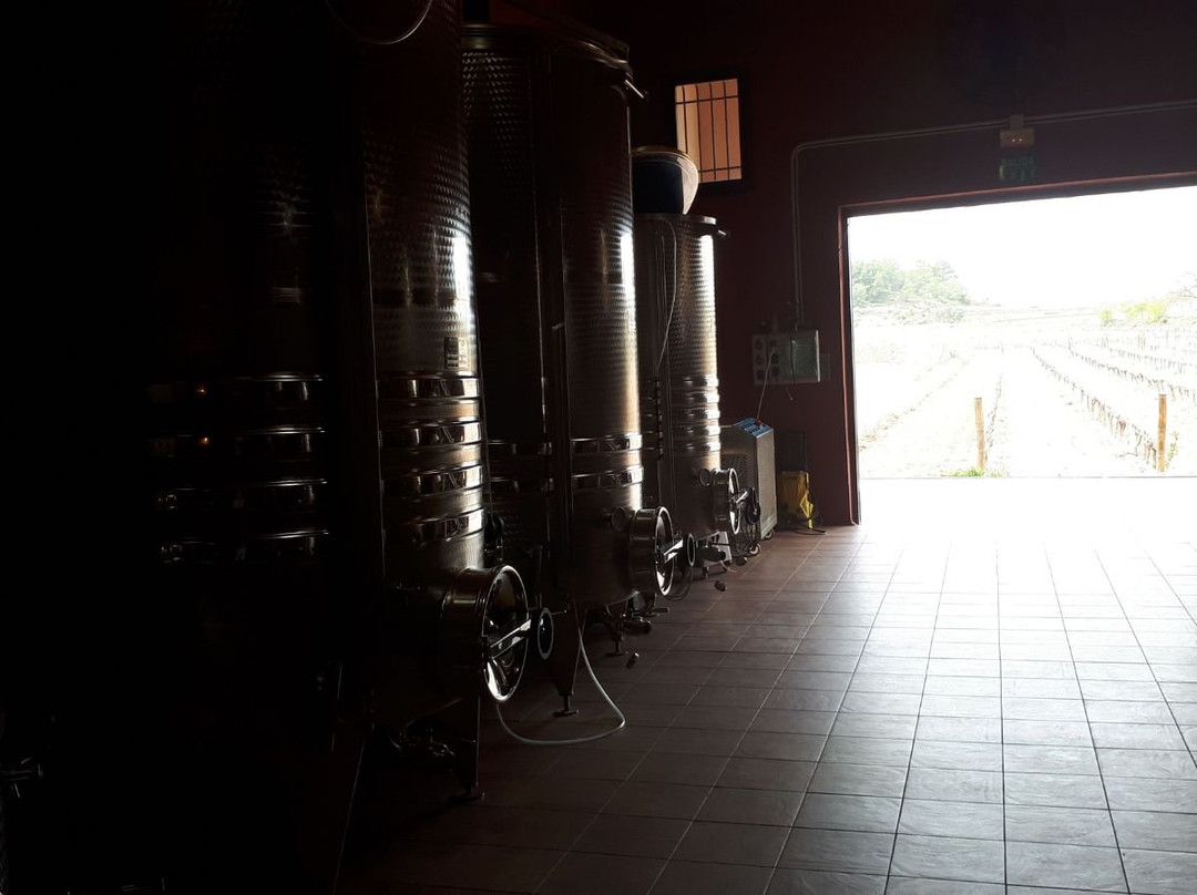 Vinedos y Bodegas Terra D´art景点图片