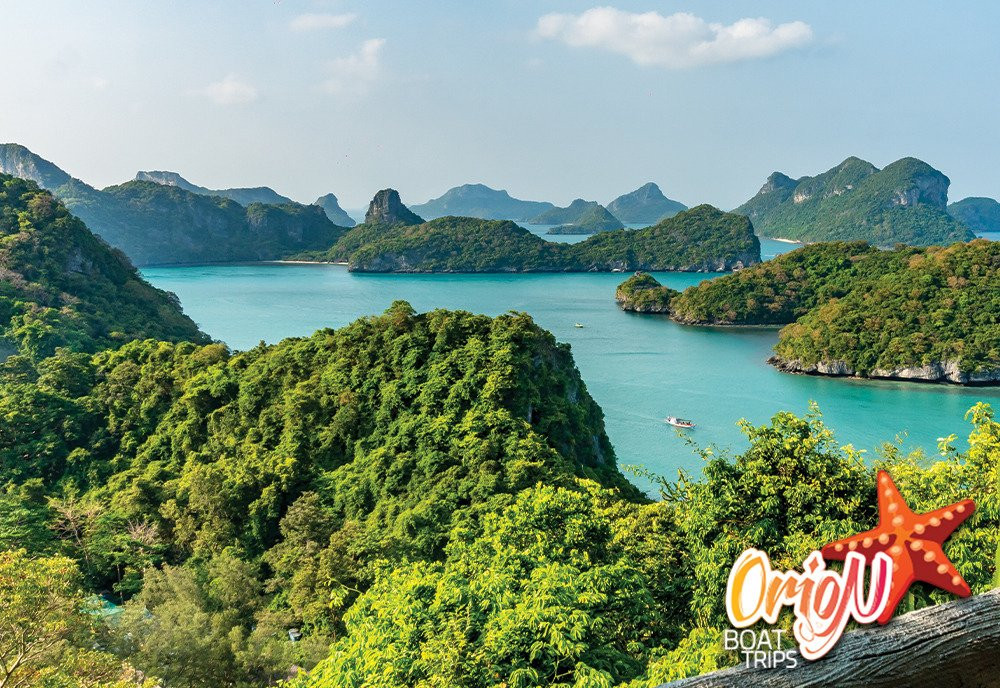 Orion Boat Trips - Day tours-帕岸岛必去景点