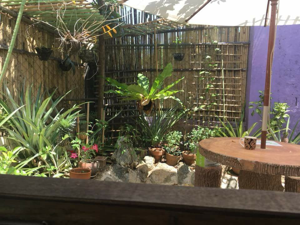 Lala Panzi Bed and Breakfast主图