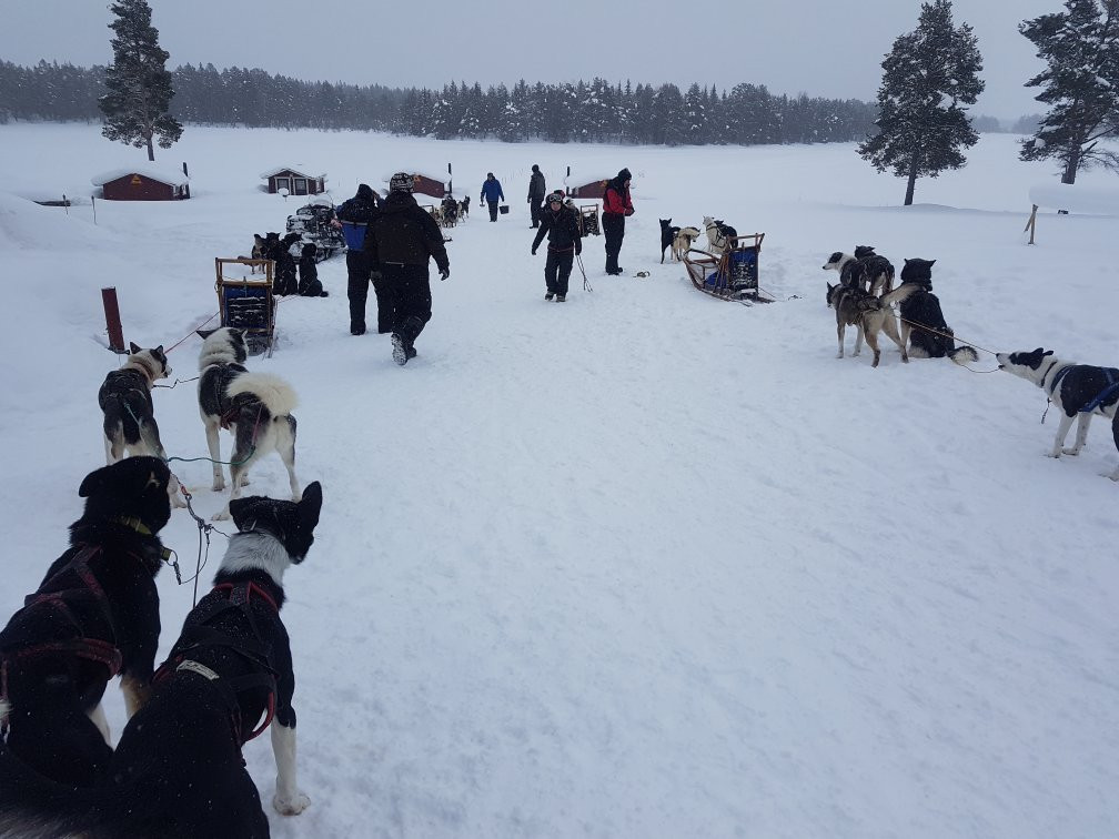 Lapplands Drag - Day Tours-Blattnicksele必去景点