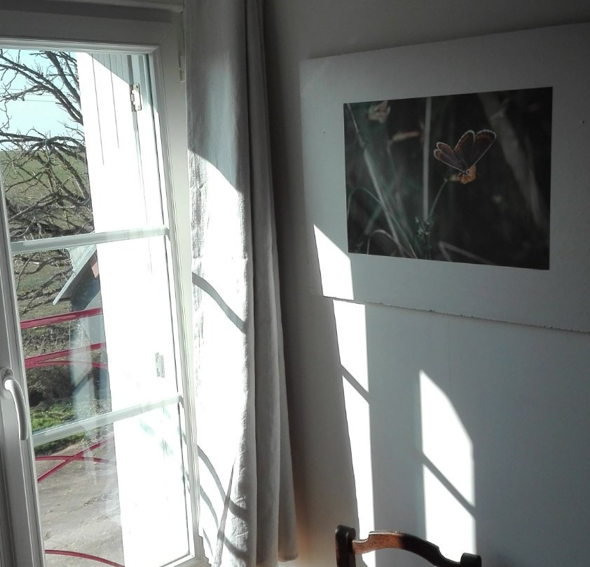 Ferme De Bellevue主图