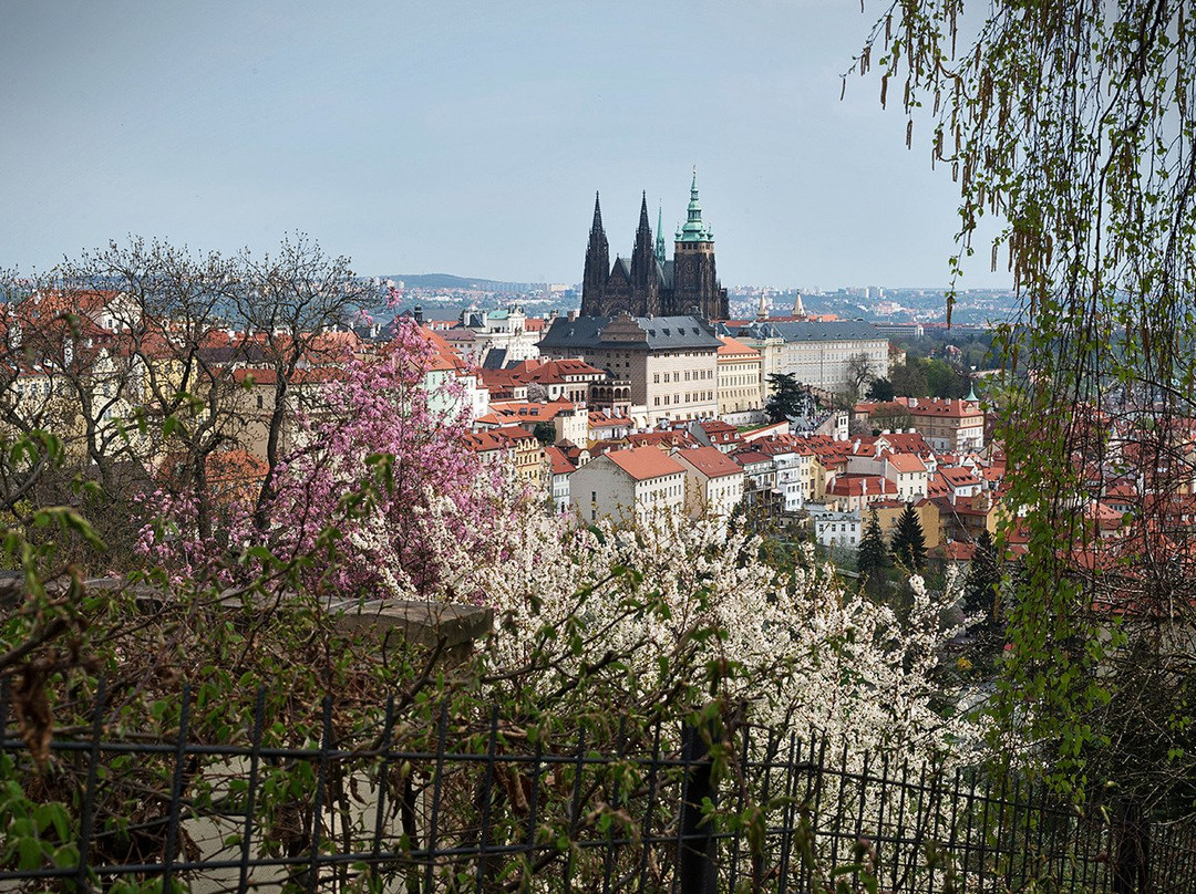 Prague City Adventures-布拉格必去景点