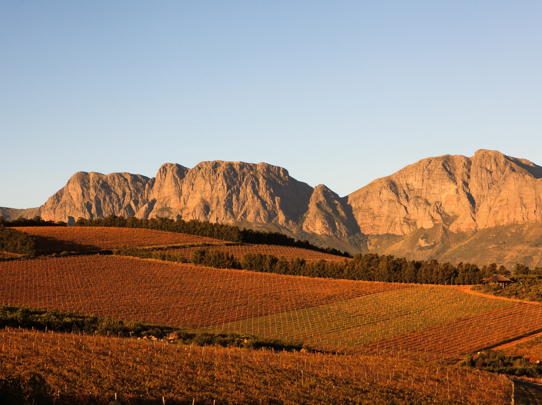 L'Epicure-开普敦中心区必去景点