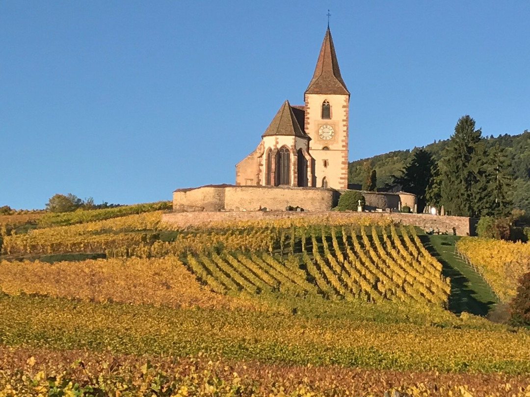 汉拿威旅游攻略图片