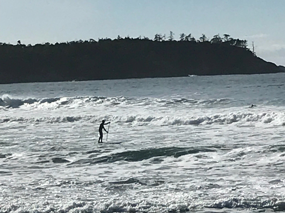 Surf Club Adventure Centre景点图片