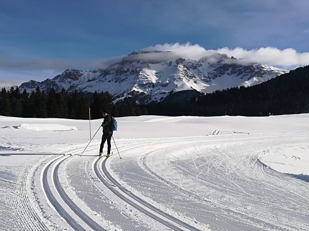 贝拉科斯塔公园酒店主图