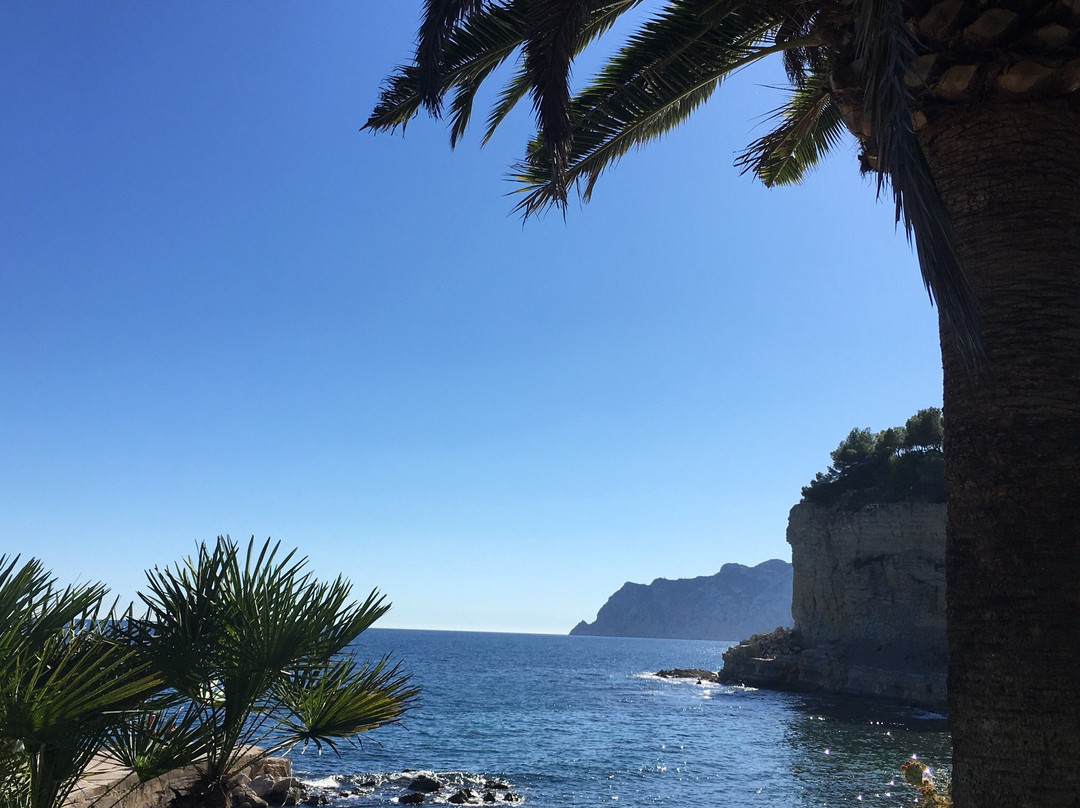 Cala Advocat景点图片