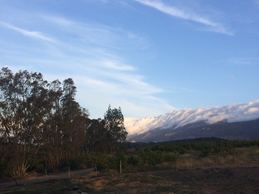 Karoo Saloon-Barrydale必去景点