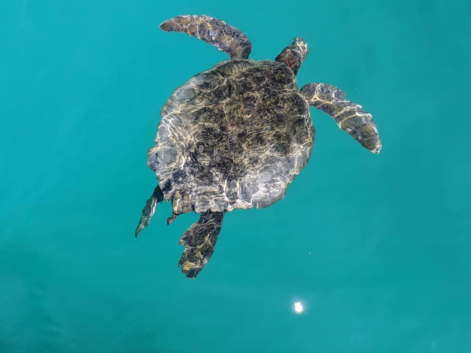 安格梅耶海滨酒店主图