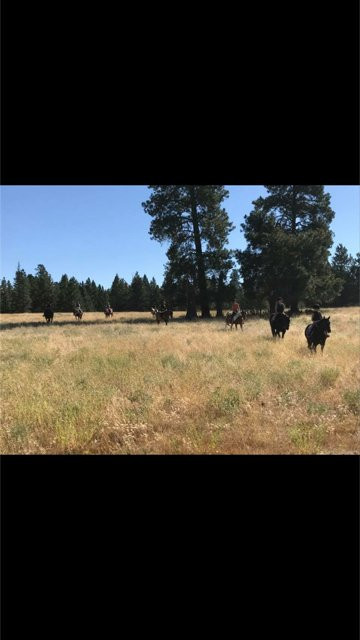 Windover Equestrian-Saint Eugene Mission必去景点