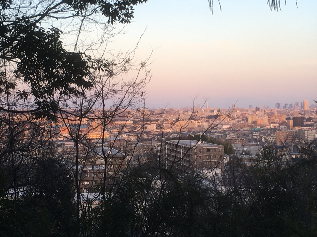 Ozawa Castle Ruin-稻城市必去景点