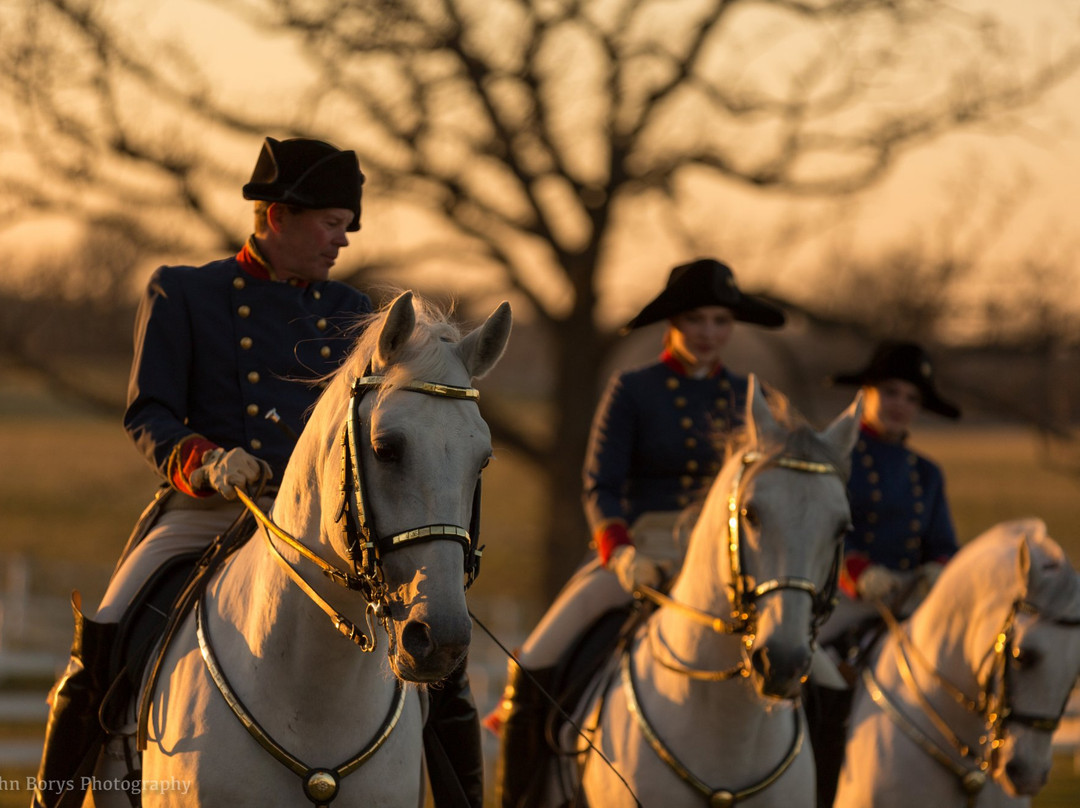 The Tempel Lipizzans-Old Mill Creek必去景点