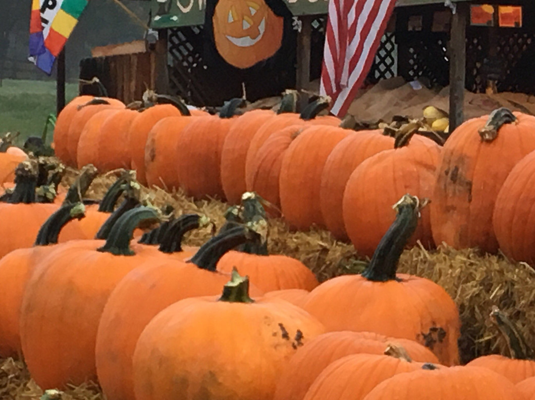 Munson Farms-博尔德必去景点