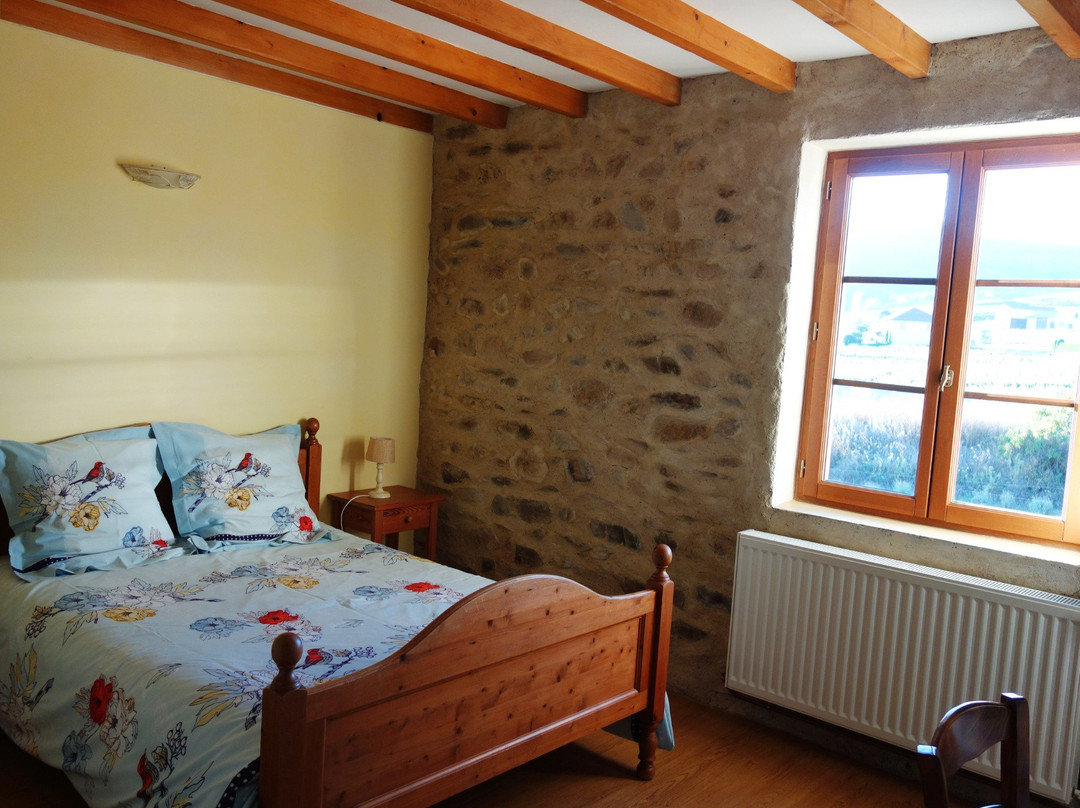 Maison d'Hôtes en Beaujolais主图