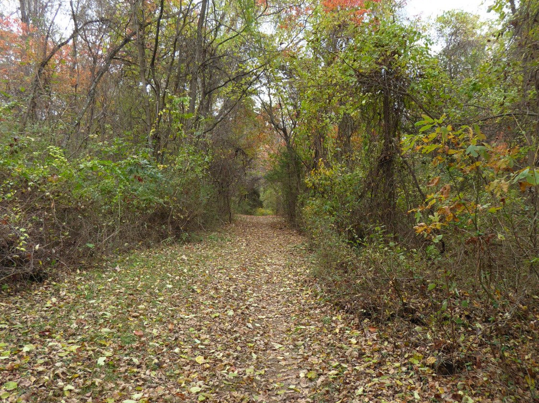 Montgomery Hall Park-斯汤顿必去景点