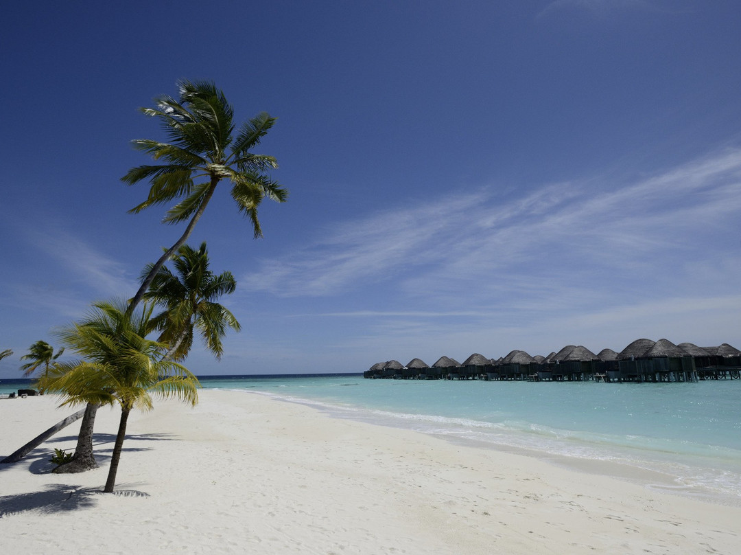 哈拉薇莉岛旅游攻略图片