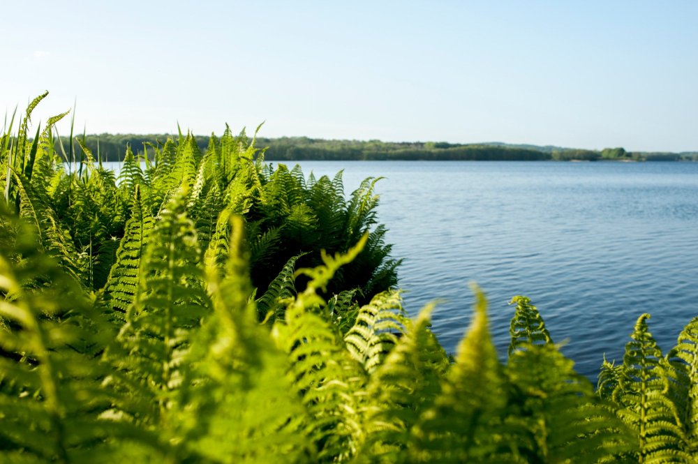 Hotel Katerberg-官方