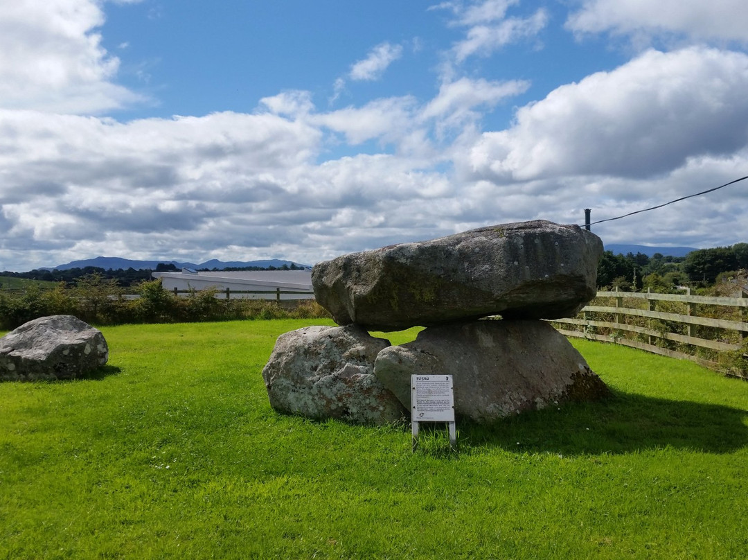 Ballina Dolmen景点图片