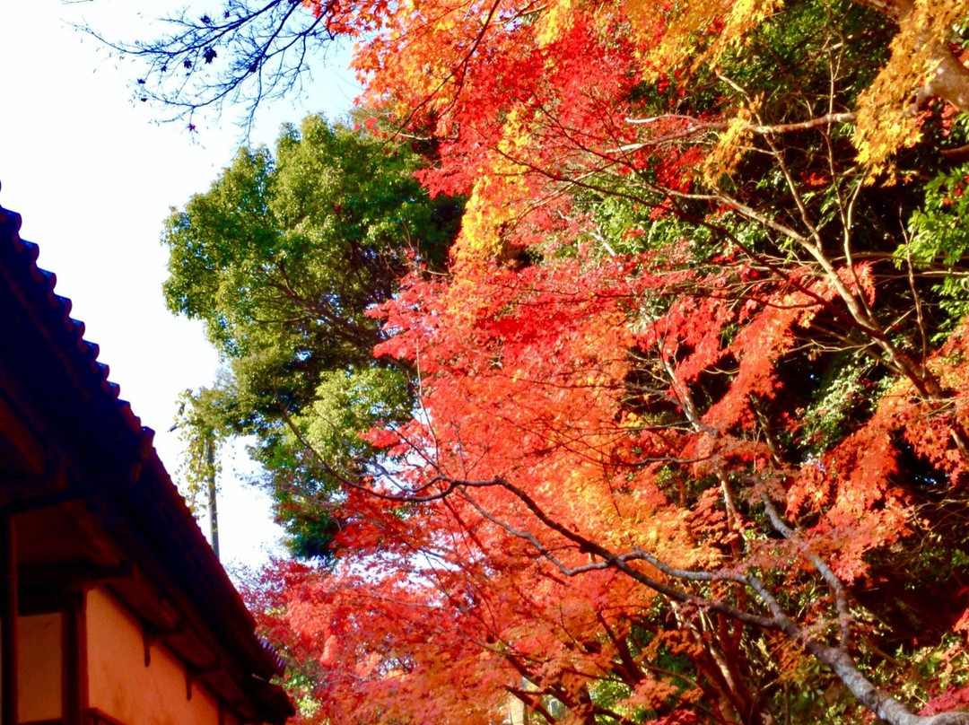 Renko-ji Temple-宇部市必去景点